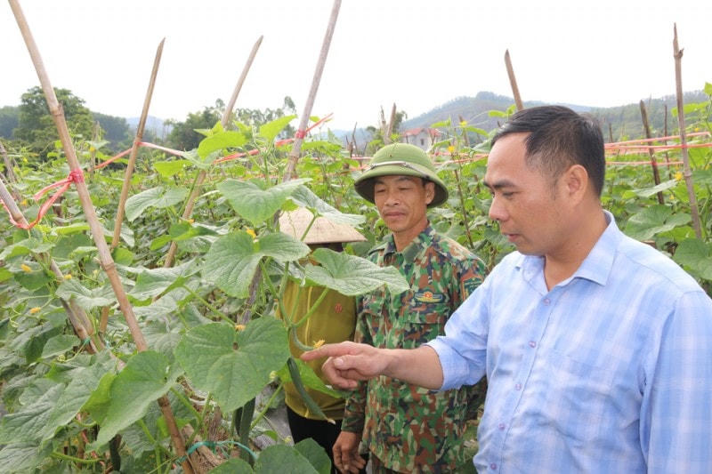Nhân rộng mô hình sản xuất vươn lên thoát nghèo.