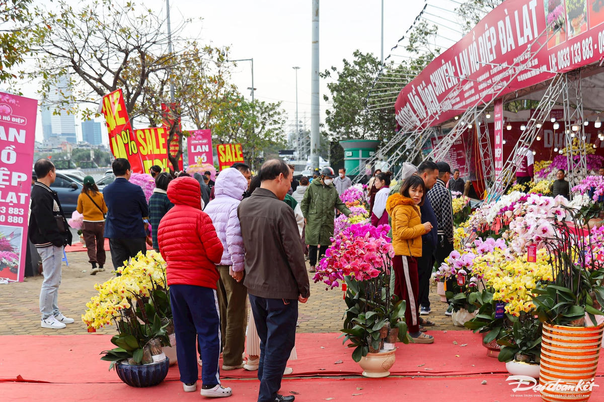quat_dao-le-khanh73.jpg