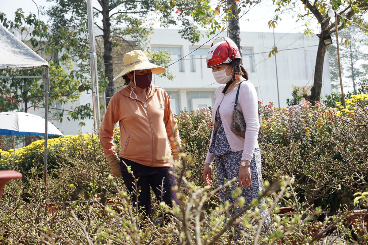 Đa phần người chơi hoa Tết có xu hướng chọn mua những loại hoa giá rẻ, hoặc mua giảm số lượng so với mọi năm. Ảnh: Mạnh Thìn.