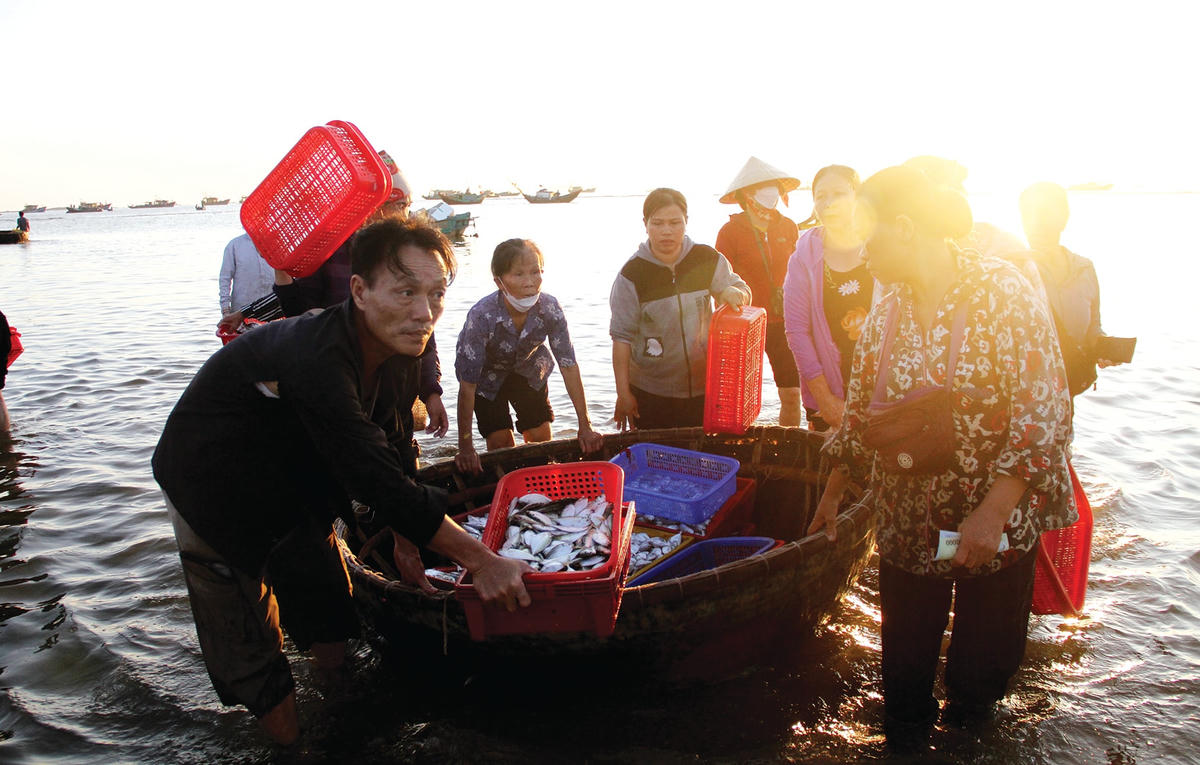 Do nhu cầu tăng cao nên các loại hải sản được tiểu thương “săn đón” ngay tại bến.  