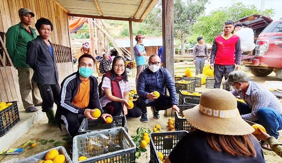 Tỉnh Quảng Nam đang tập trung đầu tư các dự án khuyến khích các hợp tác xã miền núi phát triển sản xuất, tiêu thụ nông sản cho đồng bào DTTS.