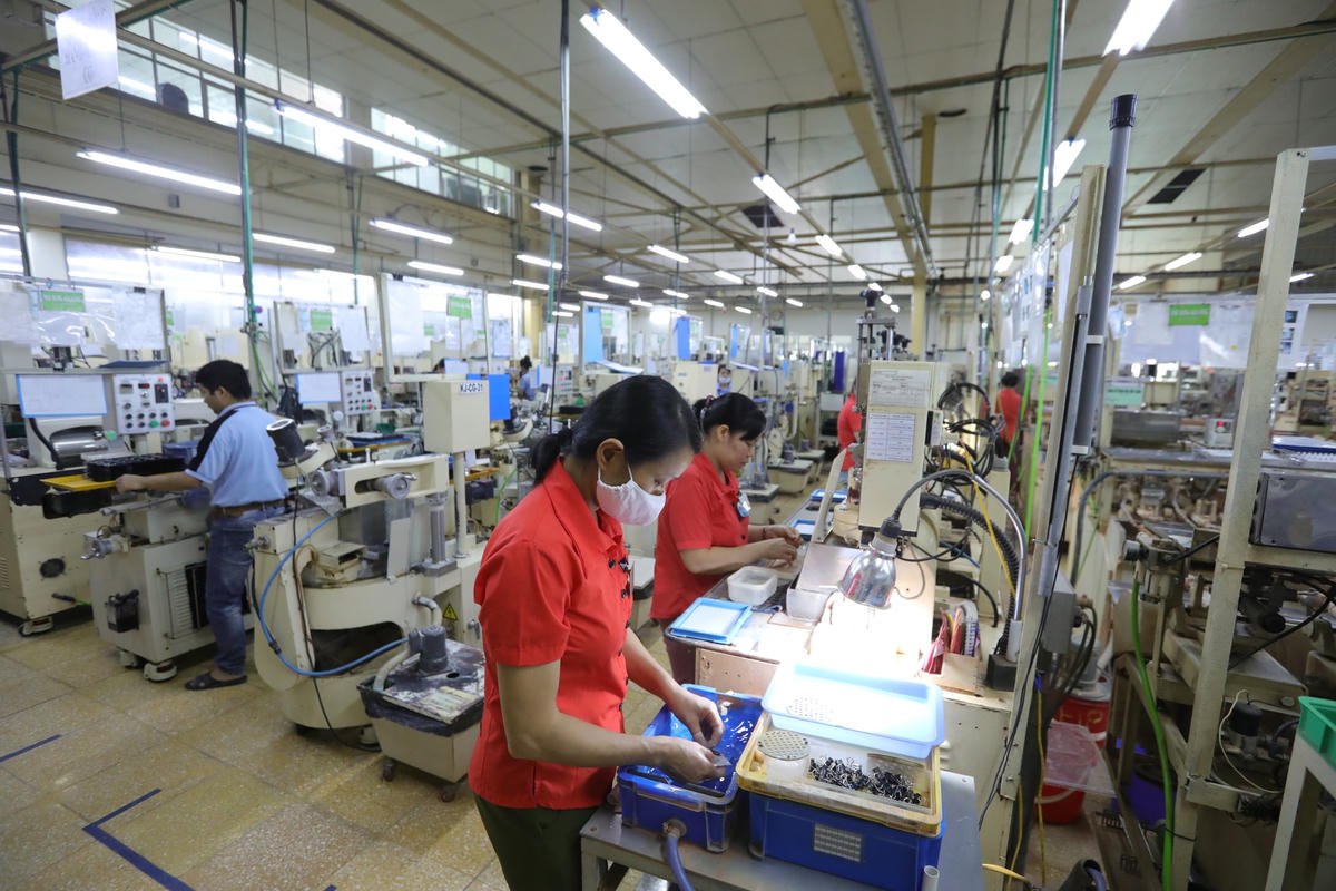 Các doanh nghiệp đang chuyển hướng sang “xanh hóa”. Ảnh: Quang Vinh.