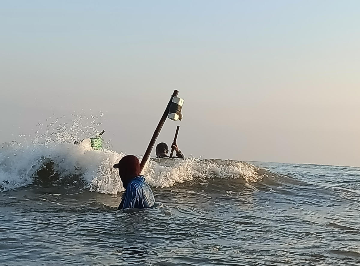 Ngư dân đánh vật với sóng biển để cào ốc gạo.