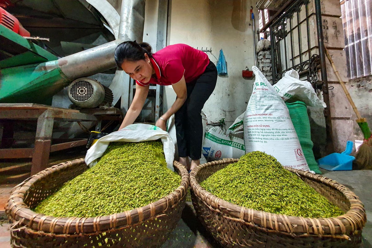 Theo phóng viên Đại Đoàn Kết Online ghi nhận, làng Mễ Trì Thượng hiện có khoảng hơn 30 hộ gia đình vẫn giữ được nghề làm cốm truyền thống. Cơ sở làm cốm của bà Hà Hiệu là một trong số đó.