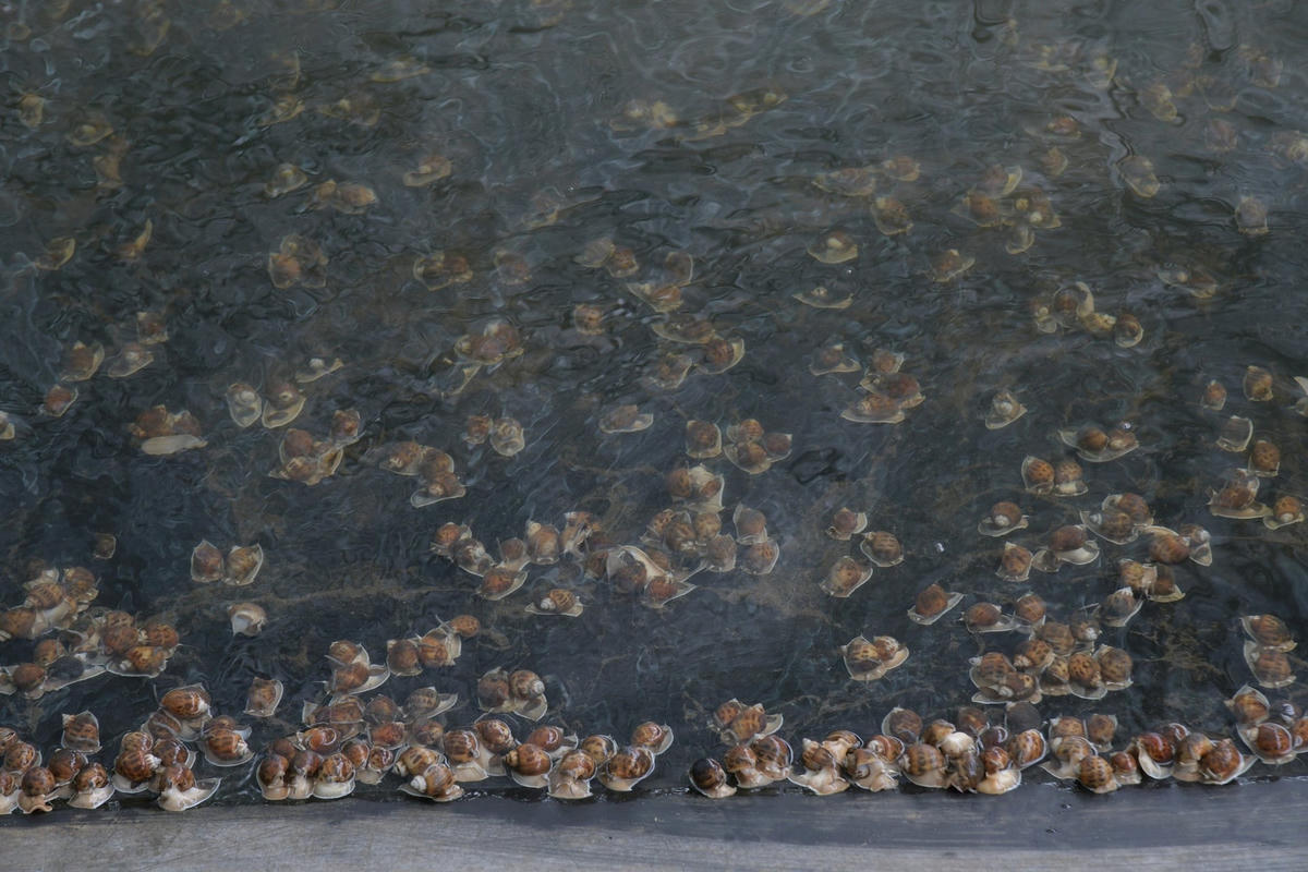 z5159526878415_9f67686023be0e50cc46ef8a430ef2bb.jpg