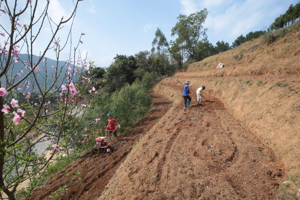 Khi đào nở bên những thửa ruộng bậc thang là lúc người nông dân gieo hạt cho vụ mới.