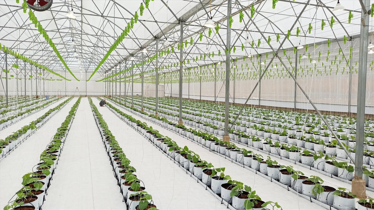 Ứng dụng nông nghiệp công nghệ cao, nông nghiệp thông minh, nông nghiệp hữu cơ tại tỉnh Hòa Bình.