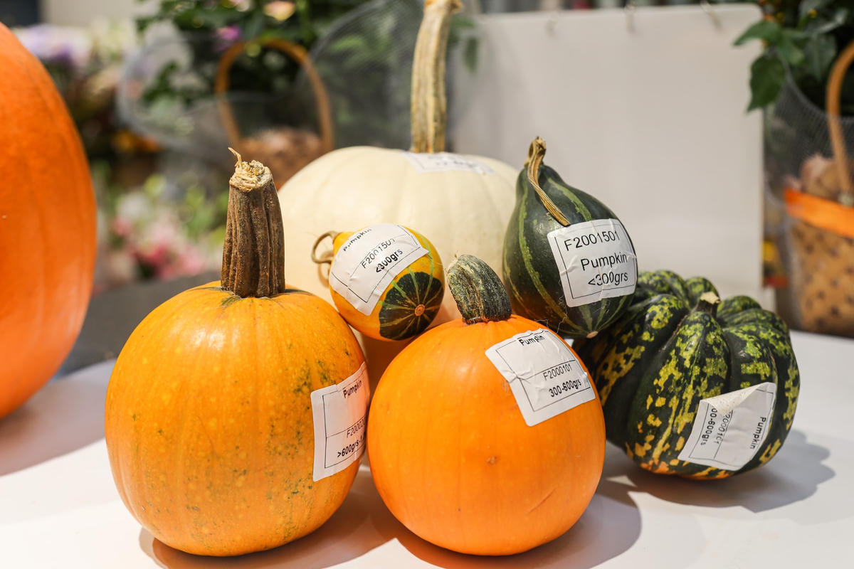 Cận cảnh những set bí ngô Halloween tiền triệu đắt khách