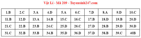Gợi ý lời giải đề thi tốt nghiệp THPT 2023 bài tổ hợp Khoa học Tự nhiên
