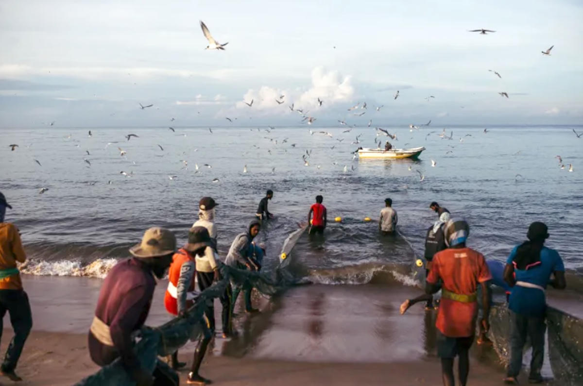 Ngư dân Sri Lanka gặp nhiều khó khăn vì ảnh hưởng của biến đổi khí hậu. Nguồn: Aljazeera.