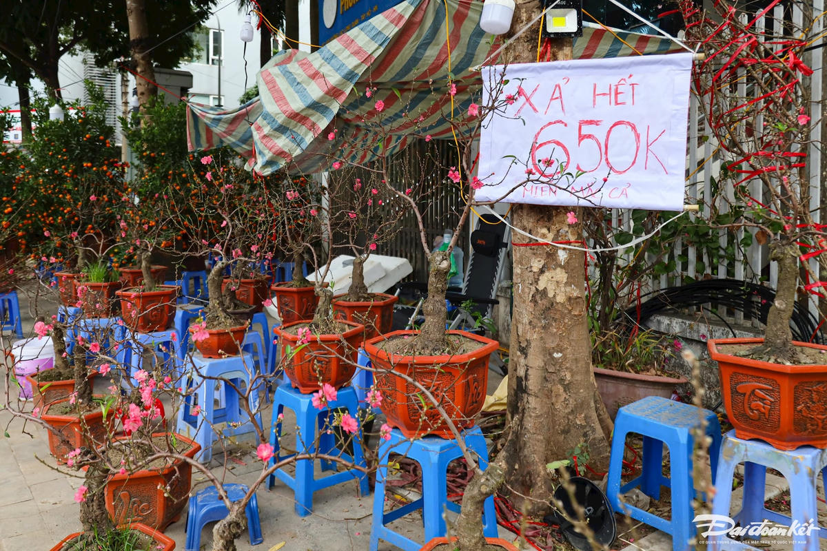quat_dao-le-khanh32.jpg