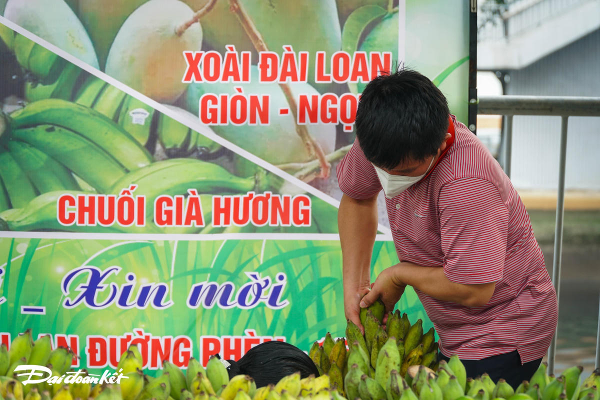 Lần đầu tiên TP HCM tổ chức tuần lễ trái cây ‘Trên bến, dưới thuyền’