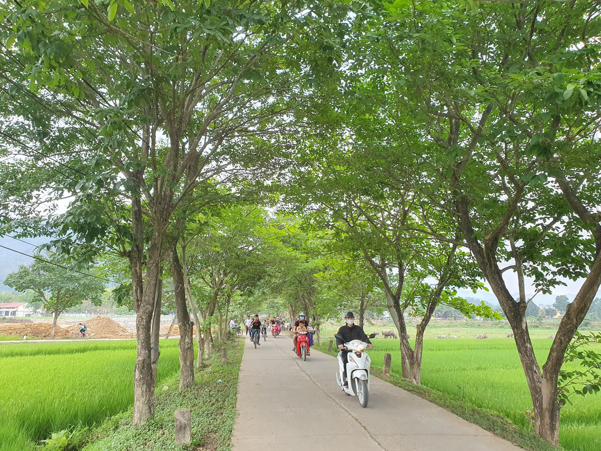 Đây là tuyến đường có nhiều người dân, học sinh đi lại hàng ngày.