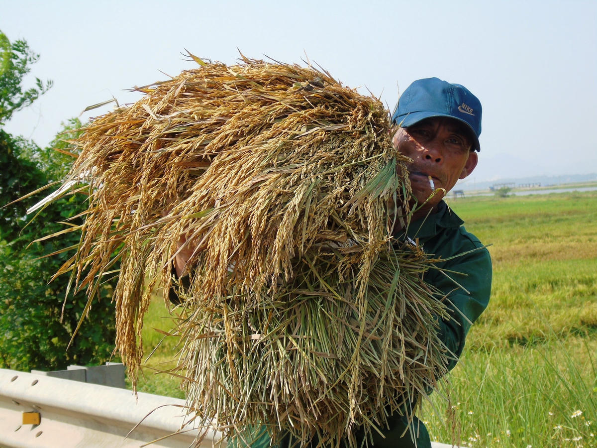 Giữa thời tiết nắng nóng lên đến 40 độ C, người lao động vẫn tất bật với công việc của mình.