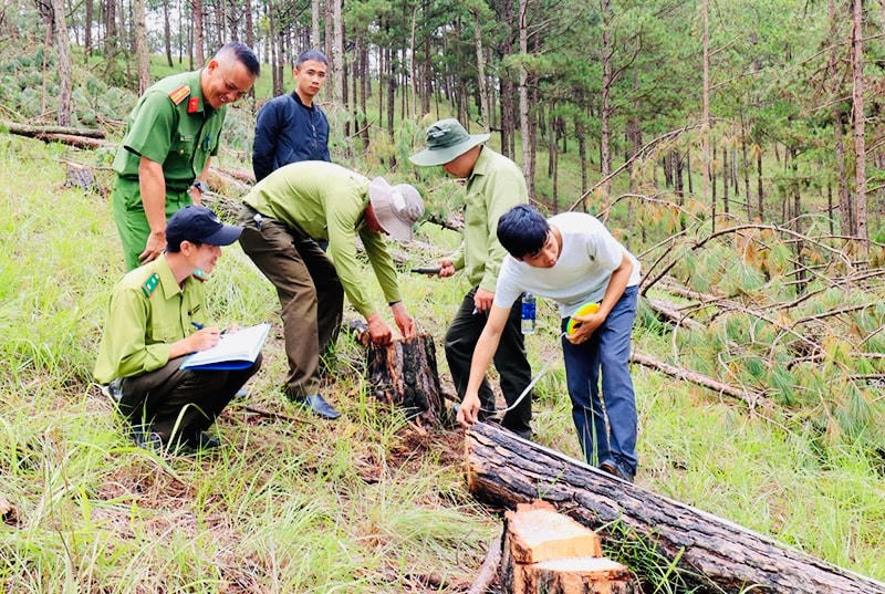 Lực lượng chức năng tỉnh Lâm Đồng và thành phố Đà Lạt vẫn tiếp tục tiến hành khám nghiệm, đo kiểm, đánh giá thiệt hại.