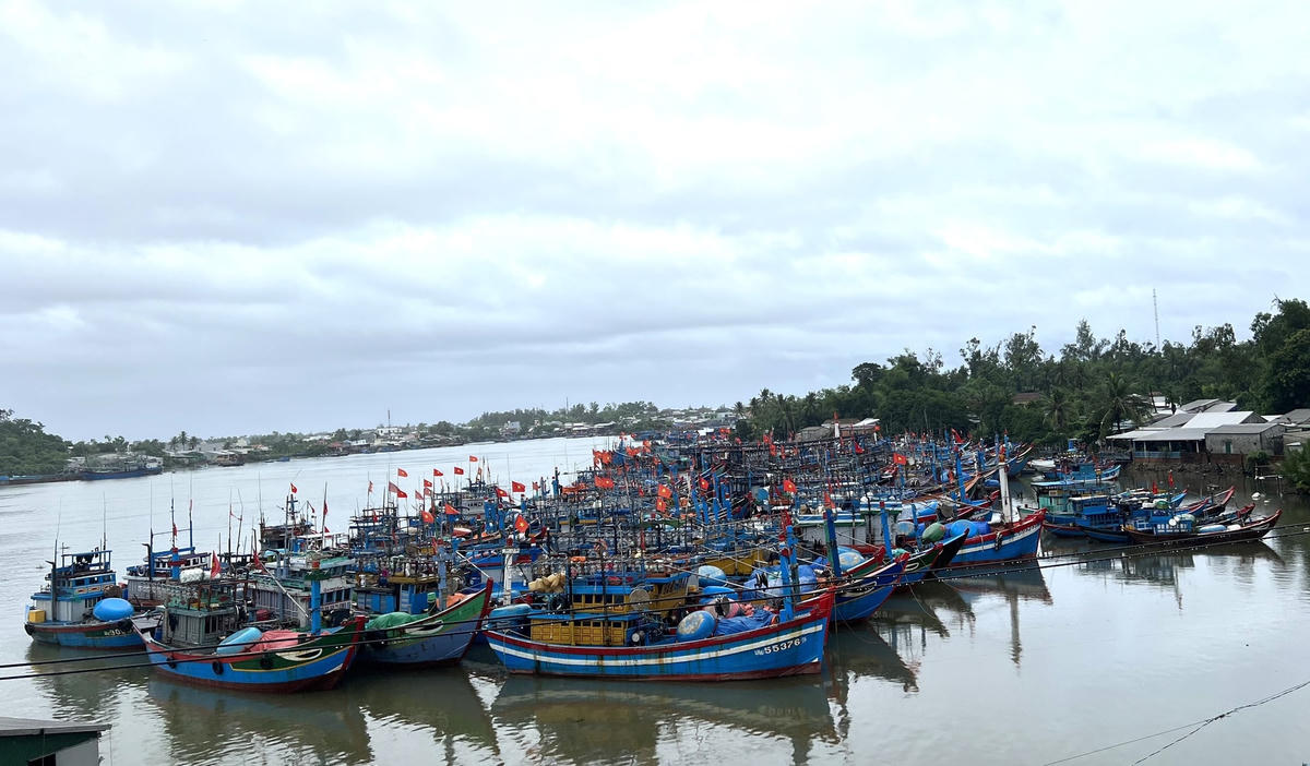 Tàu thuyền neo đậu đảm bảo an toàn tại cảng Tịnh Kỳ.