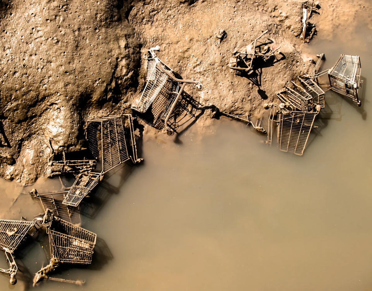 Chris Eggleton, Trong môi trường sống tự nhiên trong hạng mục Thiên nhiên. Đây là một bức tranh mô tả về vấn nạn vứt bỏ rác thải - ở đây là những chiếc xe đẩy hàng tại một cửa sông ở Kent, dần dần hiện lên khi thủy triều xuống.