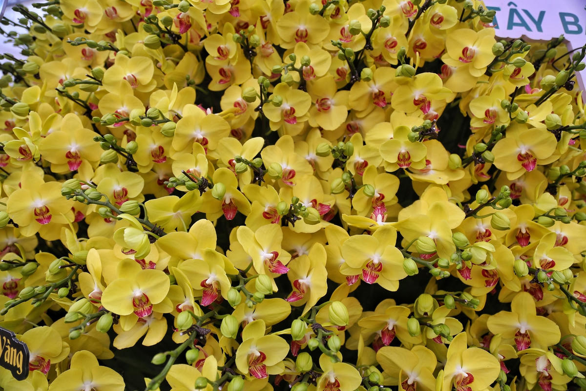  "Để hoàn thành tác phẩm này, 10 người thợ phải làm việc liên tục trong 2 ngày 2 đêm", anh Nghiệp nói.