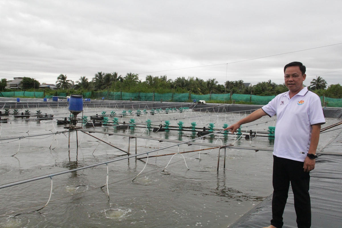Nhờ nuôi tôm công nghệ cao, ông Ngô Văn Đệ ở xã Long Khánh, huyện Duyên Hải, tỉnh Trà Vinh thu lợi nhuận thấp nhất từ 1-4 tỷ đồng/vụ nuôi