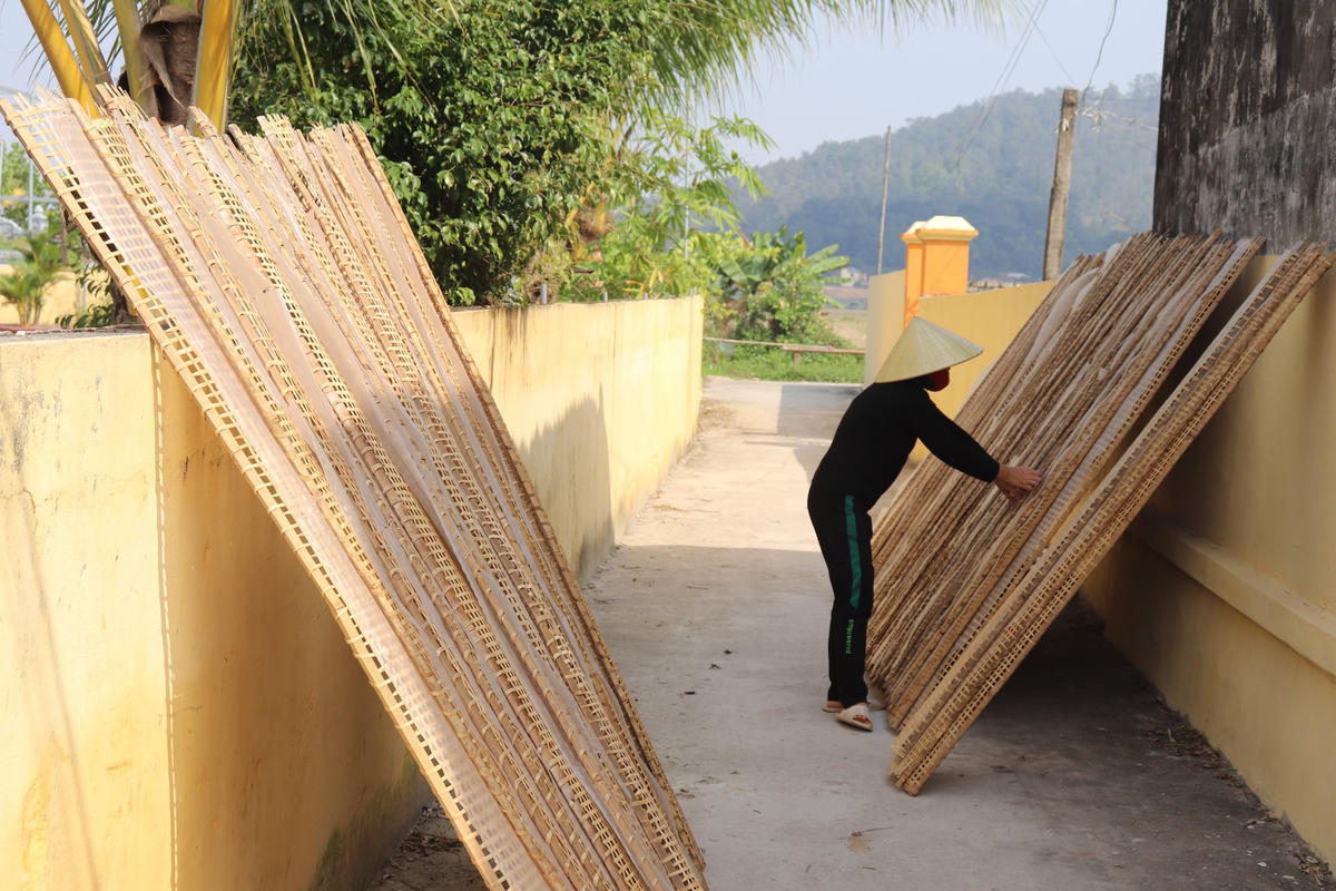 Từ đường đê, đường lớn cho tới những đường cong, ngõ nhỏ đều được tận dụng phơi bánh.  