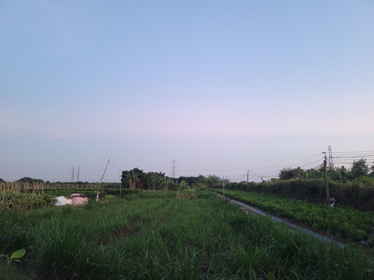 Khu vực phát hiện thi thể cháu bé.