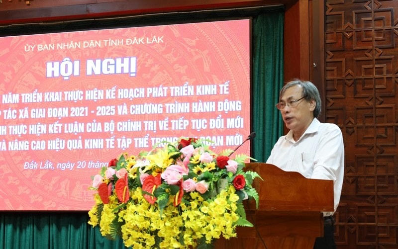 Sở Tài Nguyên - Môi trường báo cáo chính sách giao đất, cho thuê đất đối với các HTX.