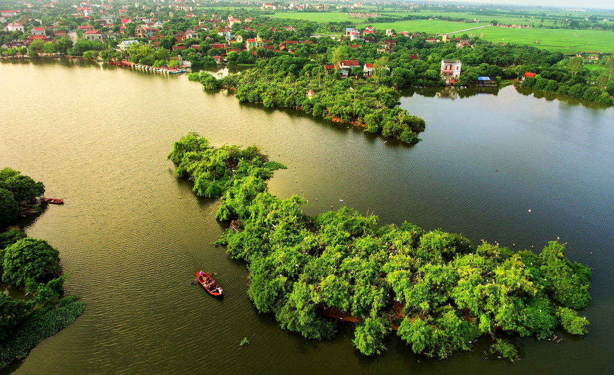 Huyện Thanh Hà (Hải Dương) hiện có khoảng 3.300 ha vải (trong đó có 1.600 ha vải sớm, còn lại là vải chính vụ); huyện đang duy trì 35 vùng vải đạt tiêu chuẩn VietGAP và 51 ha đạt tiêu chuẩn GlobalGAP.