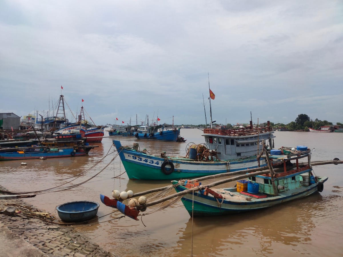 Khai thác thua lỗ, nhiều tàu cá huyện Đông Hải vẫn còn neo đậu trong cảng cá Gành Hào.