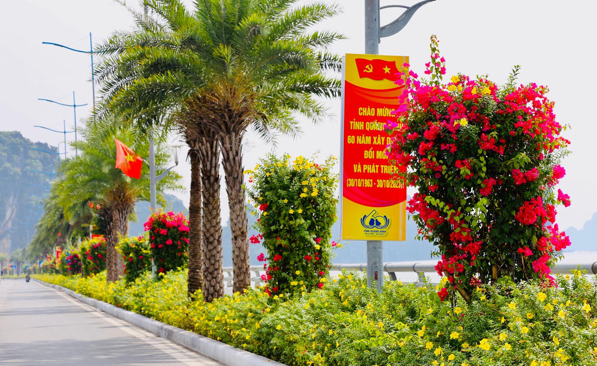 Sắc màu rực rỡ của muôn loài hoa như đang hòa chung không khí rộn ràng, náo nức của chính quyền và nhân dân tỉnh Quảng Ninh.