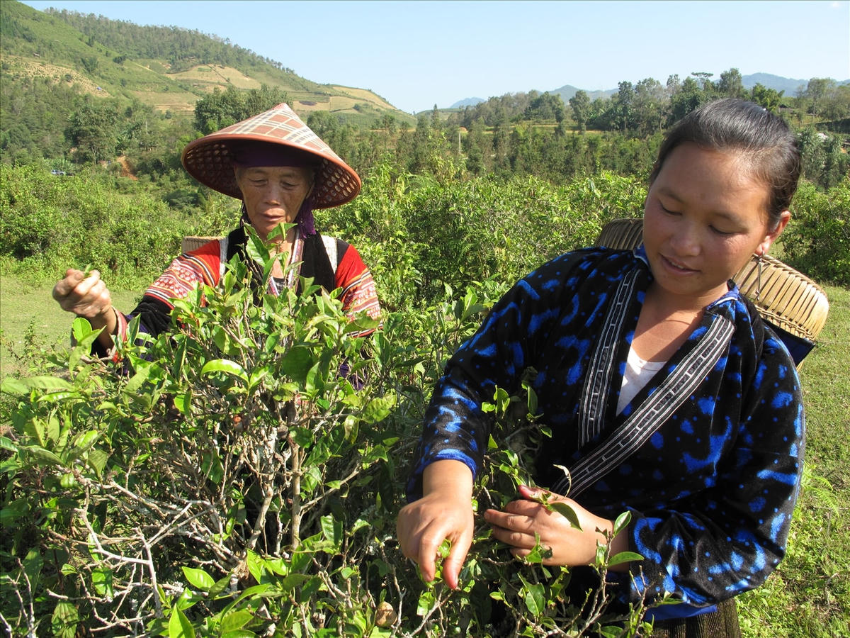 Đời sống của người dân trên địa bàn tỉnh Điện Biên từng bước được đổi thay. Ảnh: Hoàng Khánh.