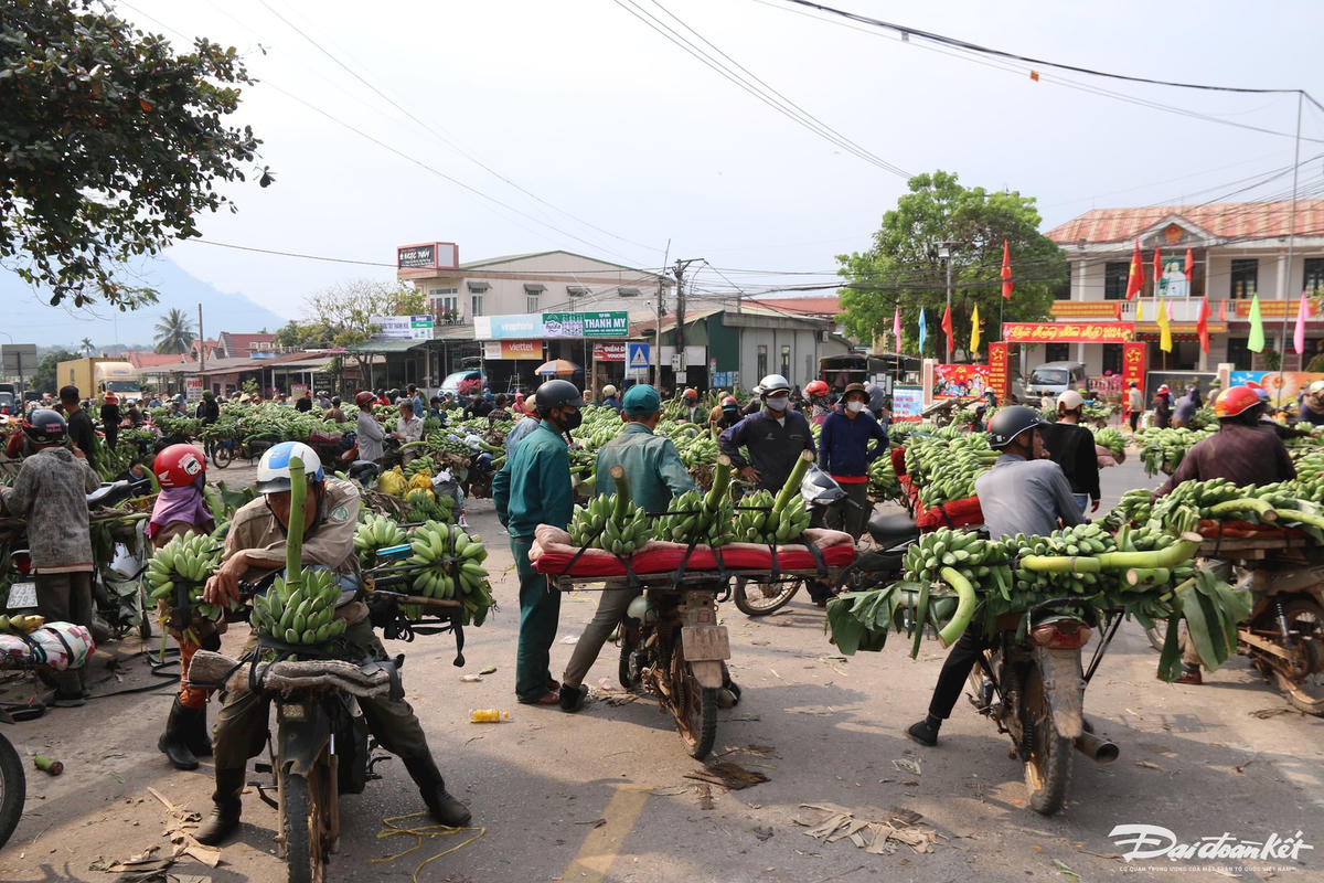 W_anh-3.jpg