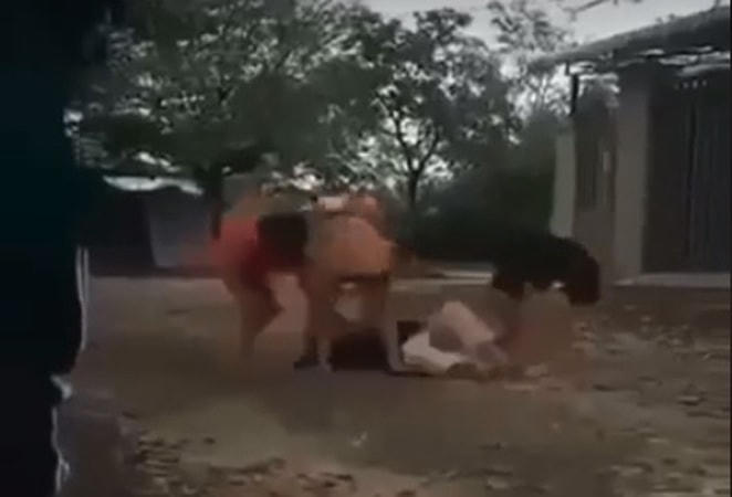 Một nữ sinh bị nhóm bạn nữ đánh đập, quay clip. Ảnh cắt từ video.