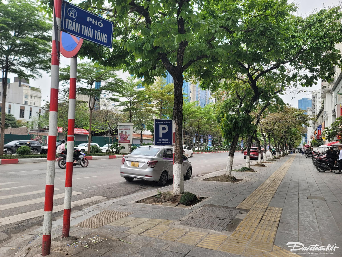 Vào các tháng cuối năm 2023, phố