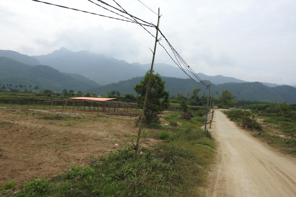 Đất nông nghiệp được "xí phần" chờ con đường dẫn vào thôn Lộc Mỹ được mở rộng trong tương lai. Ảnh Thanh Tùng.