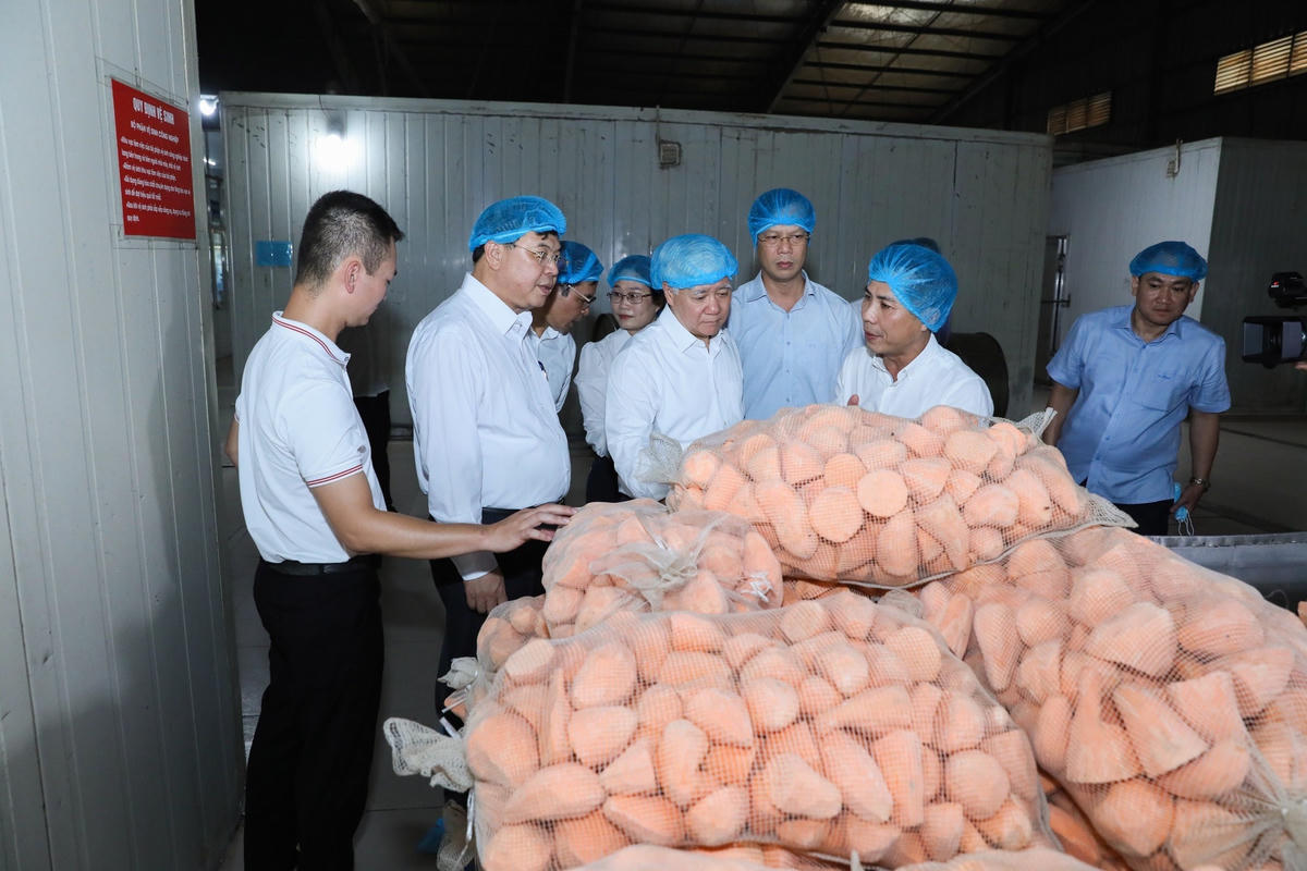 [Ảnh] Chủ tịch UBTƯ MTTQ Việt Nam kiểm tra thực hiện CVĐ 'Người Việt Nam ưu tiên dùng hàng Việt Nam' tại Nam Định