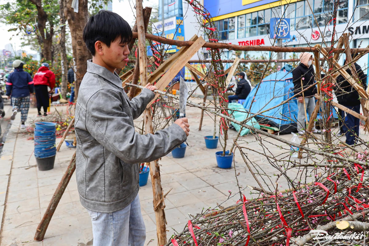 quat_dao-le-khanh84.jpg