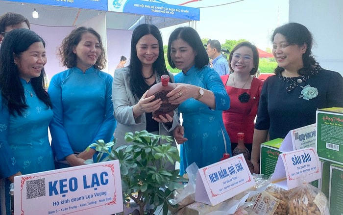 Hội chợ quảng bá, giới thiệu sản phẩm khởi nghiệp – OCOP.