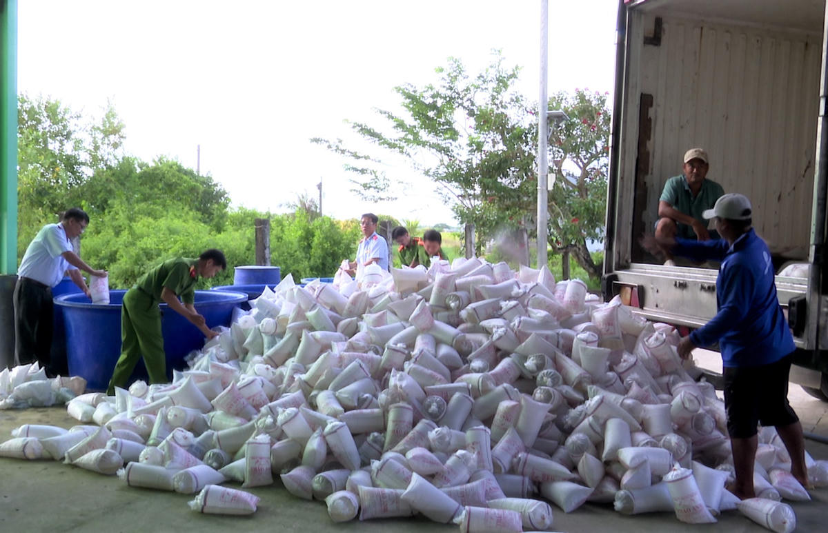 Phòng Cảnh sát về Môi trường Công an tỉnh Bạc Liêu tiêu hủy hơn 2 triệu con tôm giống không qua kiểm dịch.