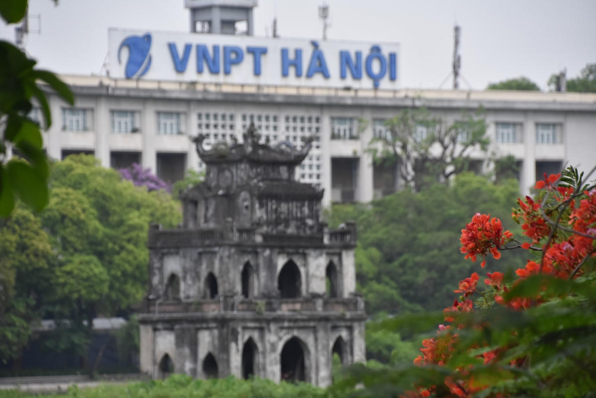 [ẢNH] Không gian phố đi bộ Hồ Gươm rực rỡ sắc hoa phượng vĩ, bằng lăng
