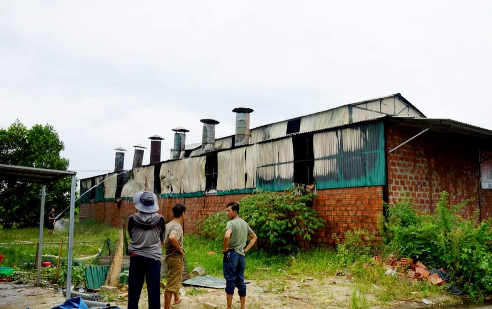 Sau nhiều giờ, đám cháy được dập tắt.