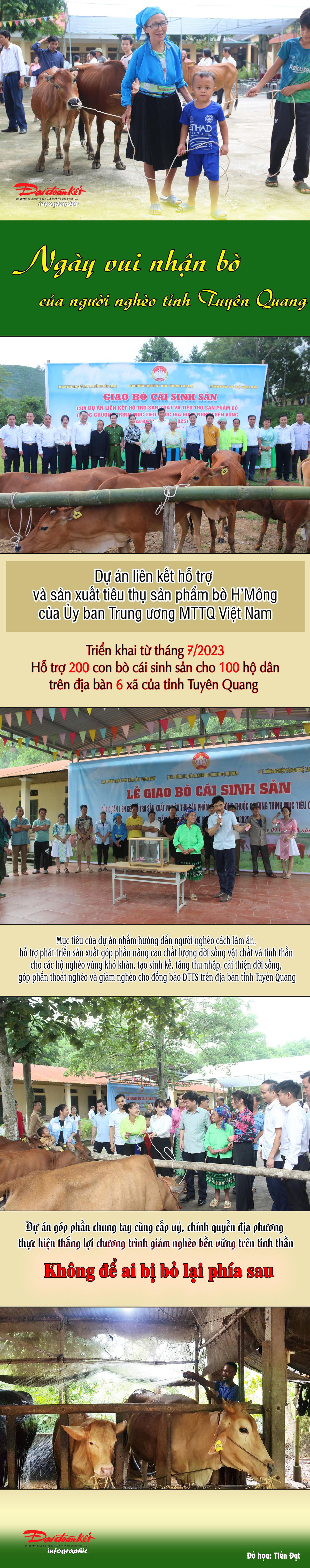 info1.jpg