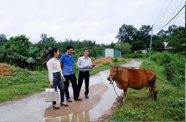 Kiểm tra, giám sát kết quả thực hiện Chương trình MTQG 1719