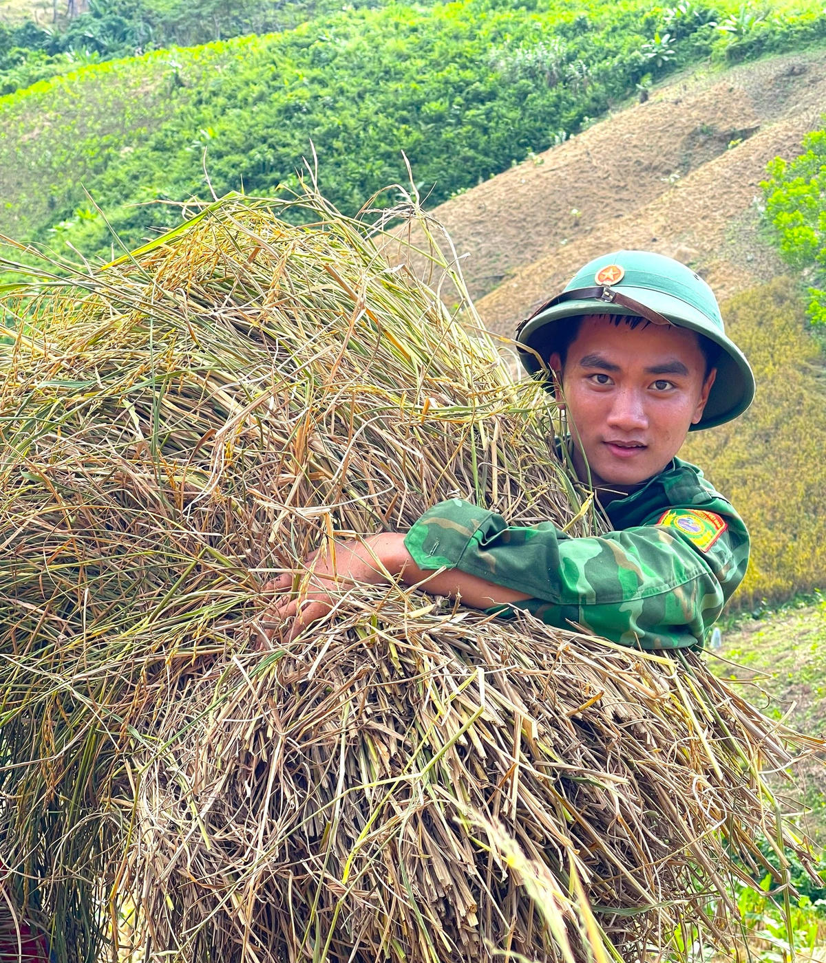 Chiến sĩ đang ôm từng bó lúa đi trên sườn đồi.
