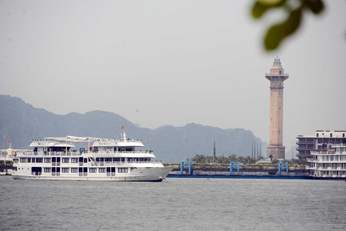 Những con tàu du lịch cũng thong dong tìm nơi tránh trú.