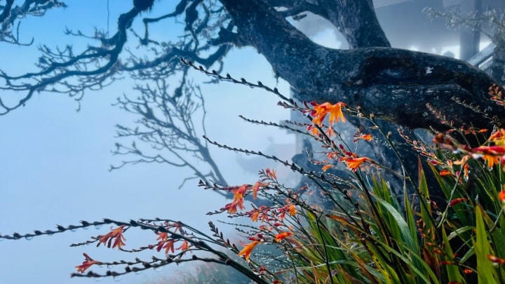 Các tỉnh miền Bắc có khả năng xảy ra rét đậm, rét hại.