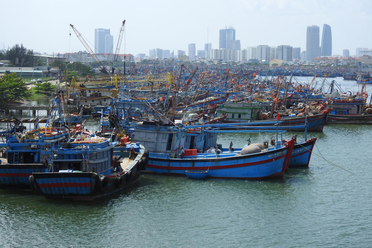 Tàu cá neo đậu an toàn tại Âu thuyền Thọ Quang (Đà Nẵng) sáng 25/9. Ảnh Thanh Tùng.