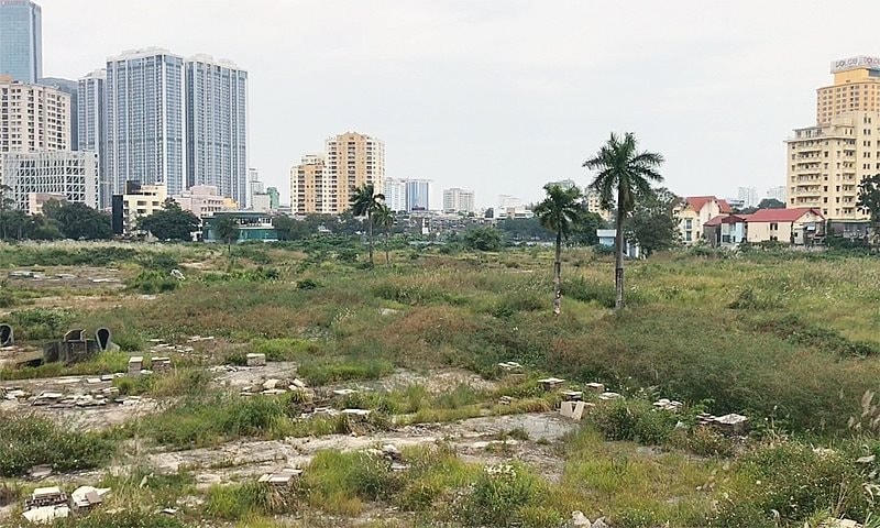 image001-copy20240719155504.jpg