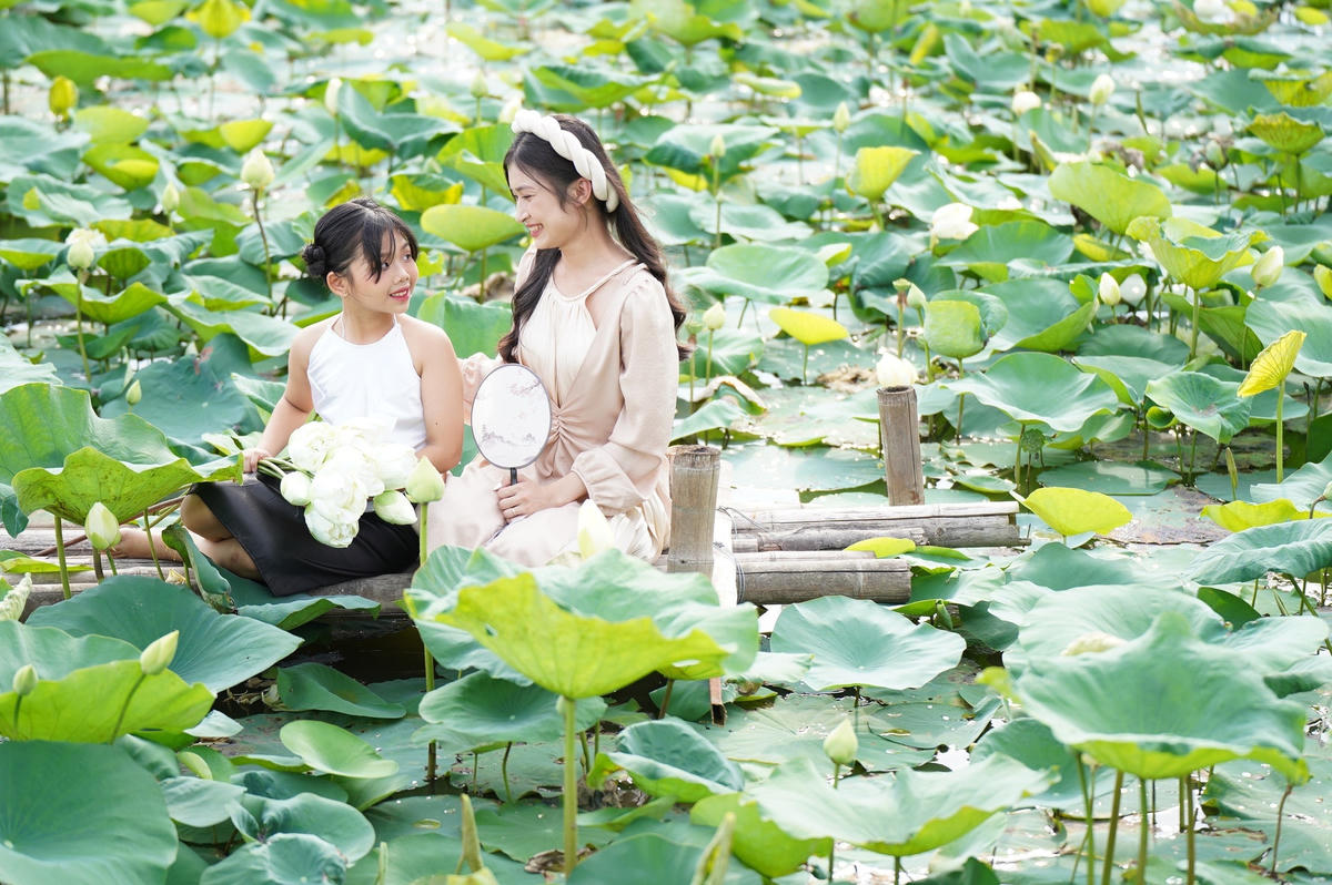 Các cô gái xinh đẹp đủ mọi lứa tuổi với các loại trang phục từ yếm đào, áo dài, áo bà ba, thậm chí là cả những trang phục cổ trang đua nhau tạo dáng, đứng, ngồi, nghiêng ngả bên sen, cũng có khi họ trầm mình cả nửa giờ dưới hồ sen để chụp những tấm hình đẹp nhất.  