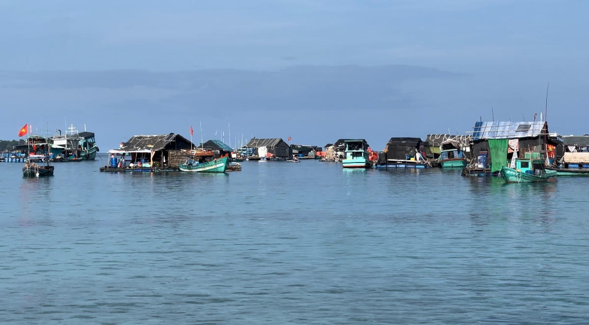 Một góc bãi Dong.  