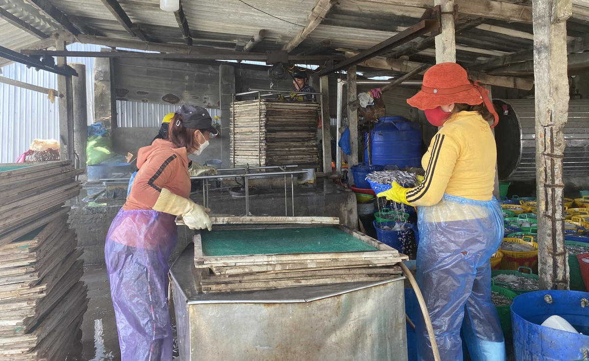 Nhân công đang rửa cá tại hồ chứa nước đá lạnh.